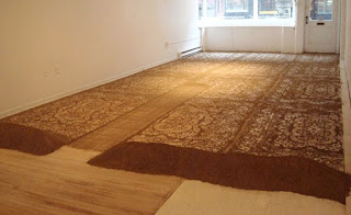 Dirt Carpets and Speaking Engagements!