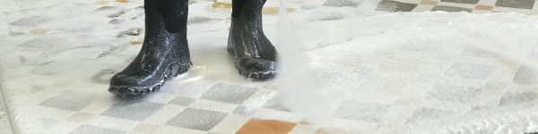 Use a Trusted Cleaner - Weaver and Loom - Toronto, Ontario, Canada - Odegard Tile - The Ruggist